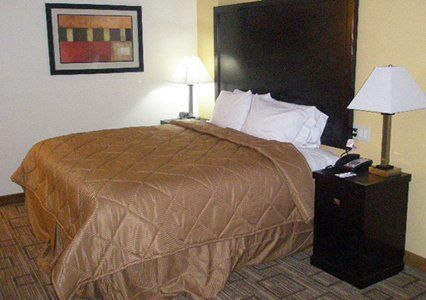 Quality Inn & Suites Greenville Near Downtown Zimmer foto